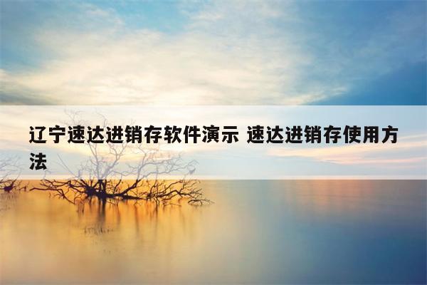 辽宁速达进销存软件演示 速达进销存使用方法