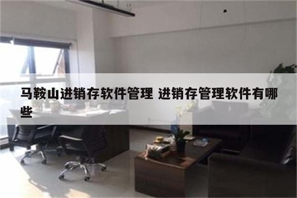 马鞍山进销存软件管理 进销存管理软件有哪些