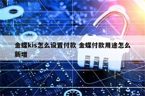 金蝶kis怎么设置付款 金蝶付款用途怎么新增