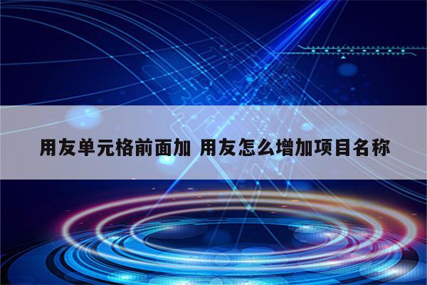 用友单元格前面加 用友怎么增加项目名称