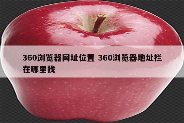 360浏览器网址位置 360浏览器地址栏在哪里找