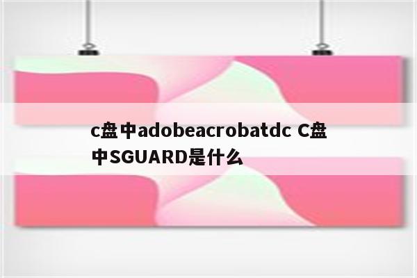 c盘中adobeacrobatdc C盘中SGUARD是什么