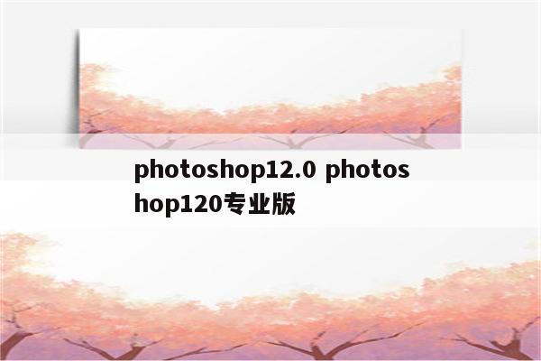 photoshop12.0 photoshop120专业版