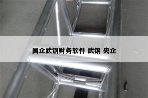 国企武钢财务软件 武钢 央企