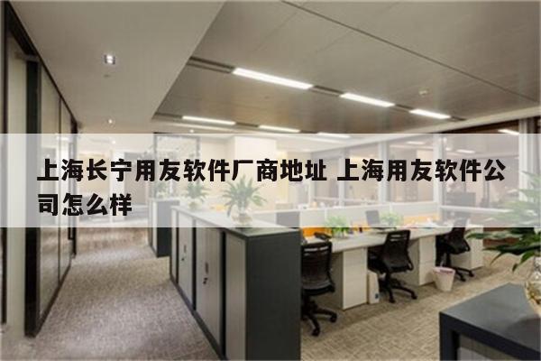 上海长宁用友软件厂商地址 上海用友软件公司怎么样
