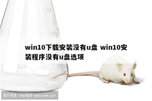 win10下载安装没有u盘 win10安装程序没有u盘选项