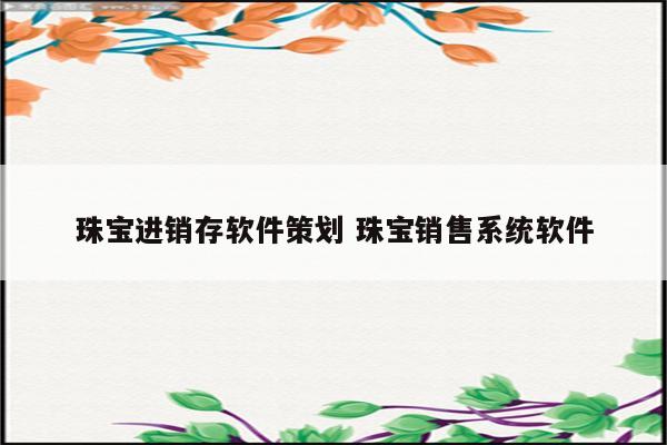 珠宝进销存软件策划 珠宝销售系统软件