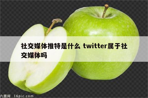 社交媒体推特是什么 twitter属于社交媒体吗