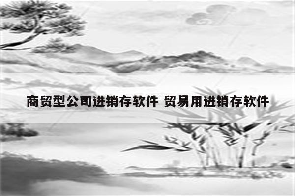 商贸型公司进销存软件 贸易用进销存软件