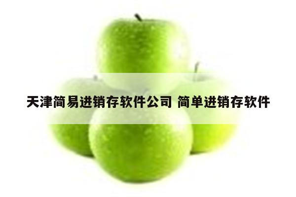 天津简易进销存软件公司 简单进销存软件