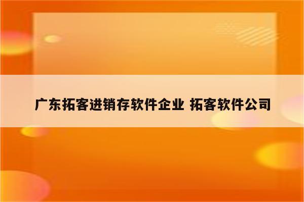 广东拓客进销存软件企业 拓客软件公司