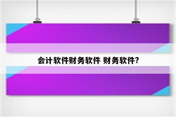 会计软件财务软件 财务软件?