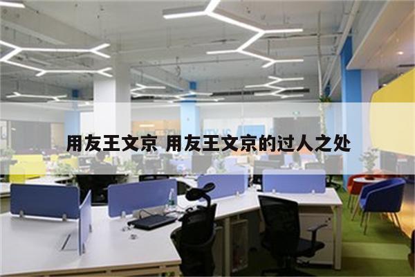 用友王文京 用友王文京的过人之处