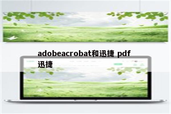 adobeacrobat和迅捷 pdf 迅捷