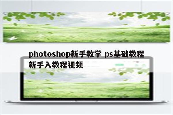 photoshop新手教学 ps基础教程新手入教程视频