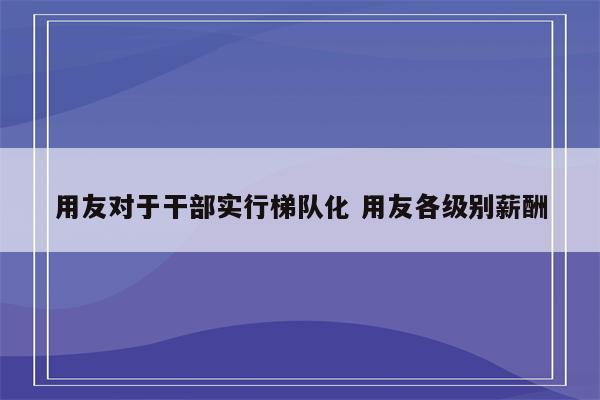 用友对于干部实行梯队化 用友各级别薪酬