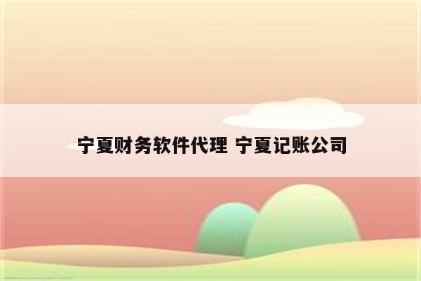 宁夏财务软件代理 宁夏记账公司