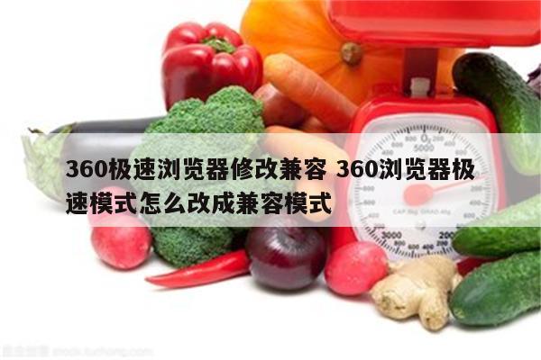 360极速浏览器修改兼容 360浏览器极速模式怎么改成兼容模式