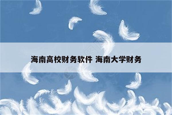 海南高校财务软件 海南大学财务