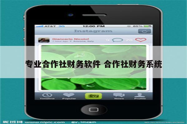 专业合作社财务软件 合作社财务系统