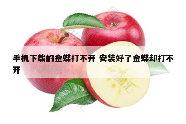 手机下载的金蝶打不开 安装好了金蝶却打不开