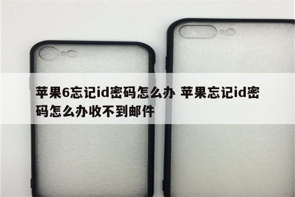 苹果6忘记id密码怎么办 苹果忘记id密码怎么办收不到邮件