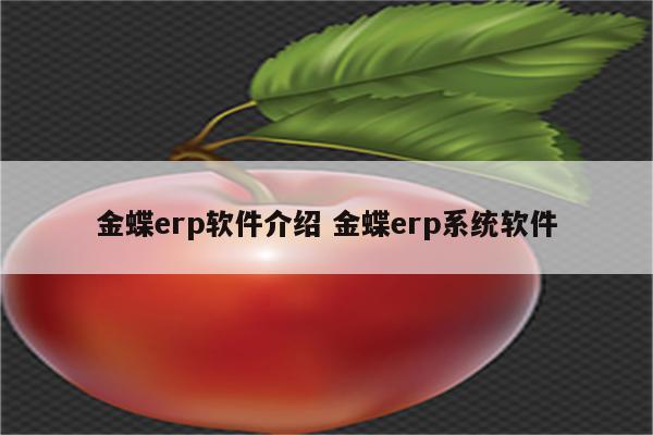 详细阅读:金蝶erp软件介绍 金蝶erp系统软件 金蝶erp软件介绍 金蝶erp系统软件