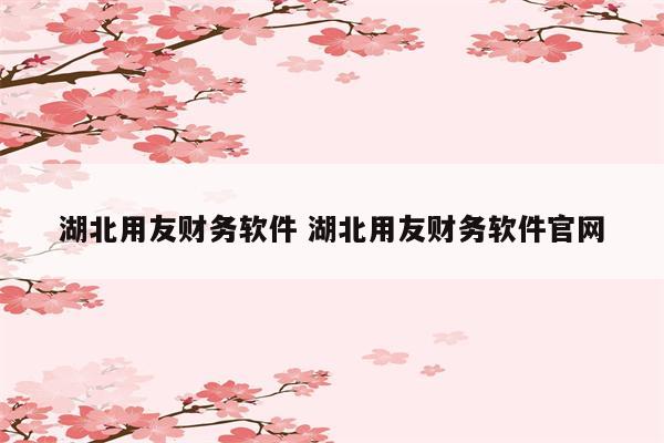 湖北用友财务软件 湖北用友财务软件官网