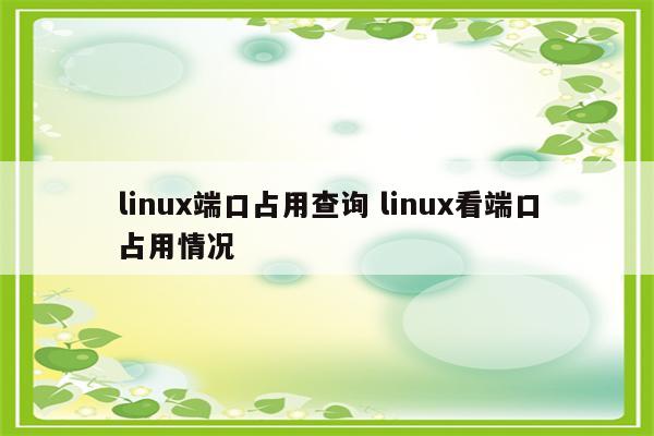 linux端口占用查询 linux看端口占用情况