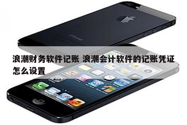浪潮财务软件记账 浪潮会计软件的记账凭证怎么设置
