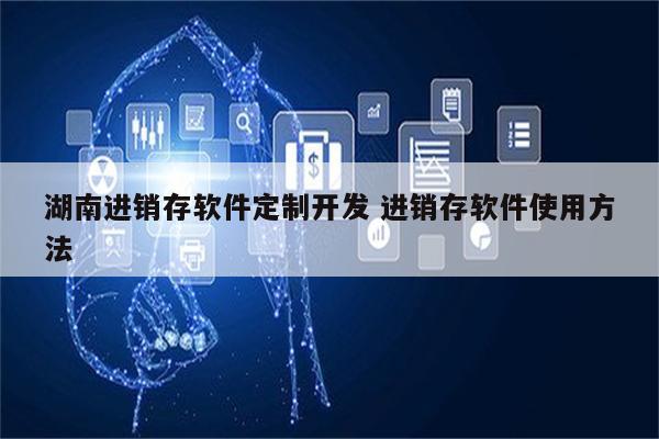湖南进销存软件定制开发 进销存软件使用方法