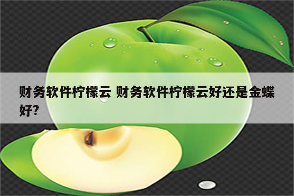 财务软件柠檬云 财务软件柠檬云好还是金蝶好?