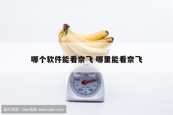 哪个软件能看奈飞 哪里能看奈飞