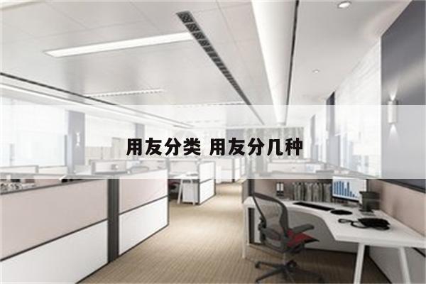 用友分类 用友分几种