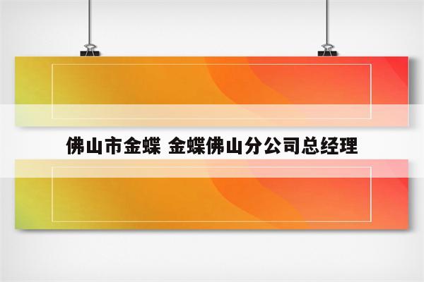 佛山市金蝶 金蝶佛山分公司总经理