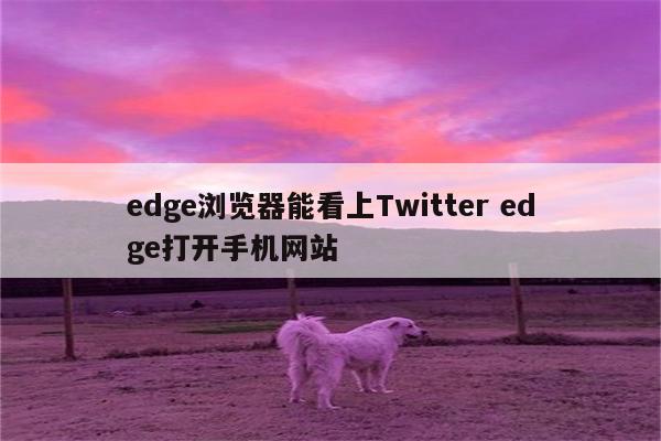 edge浏览器能看上Twitter edge打开手机网站