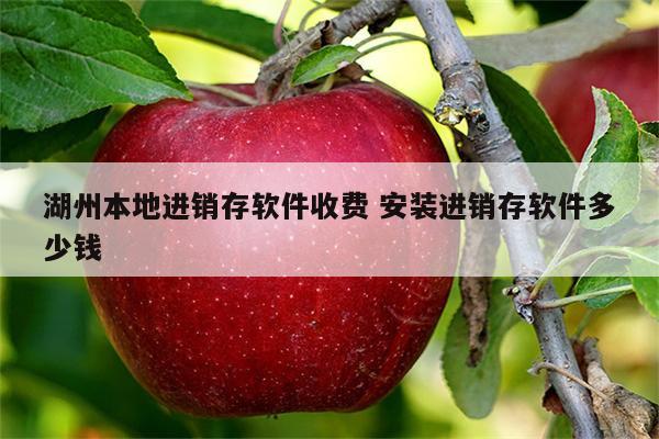 湖州本地进销存软件收费 安装进销存软件多少钱