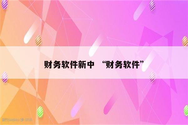 财务软件新中 “财务软件”