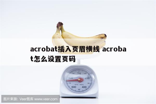 acrobat插入页眉横线 acrobat怎么设置页码