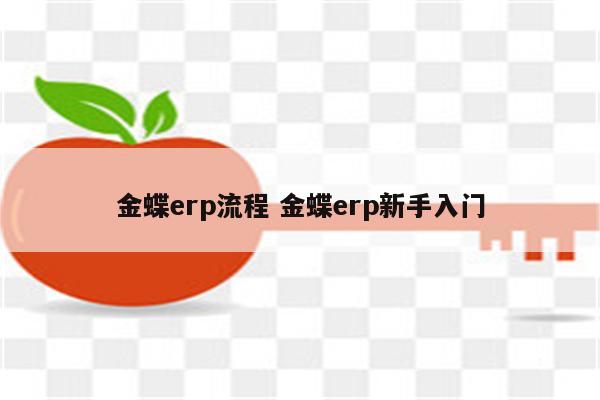 金蝶erp流程 金蝶erp新手入门