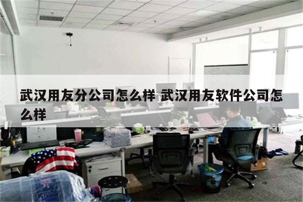 武汉用友分公司怎么样 武汉用友软件公司怎么样