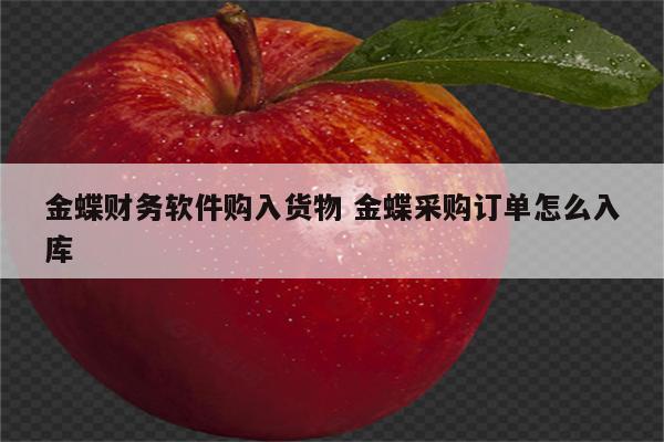 金蝶财务软件购入货物 金蝶采购订单怎么入库