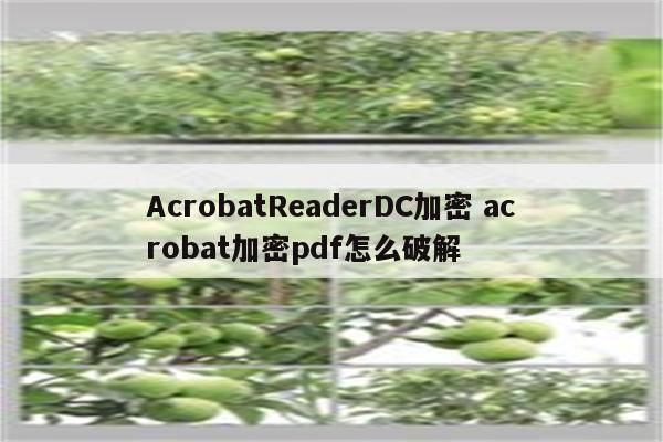 AcrobatReaderDC加密 acrobat加密pdf怎么破解