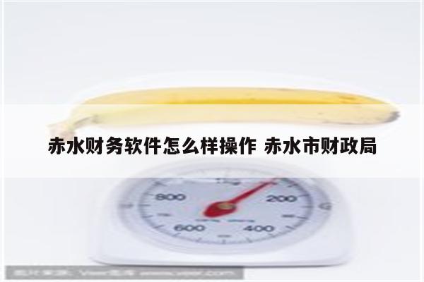 赤水财务软件怎么样操作 赤水市财政局