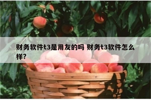 财务软件t3是用友的吗 财务t3软件怎么样?