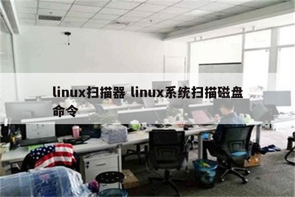 linux扫描器 linux系统扫描磁盘命令