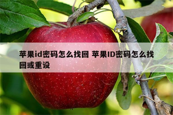 苹果id密码怎么找回 苹果ID密码怎么找回或重设