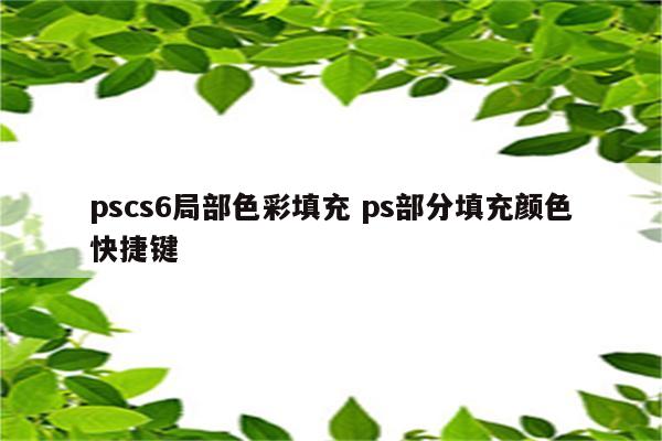 pscs6局部色彩填充 ps部分填充颜色快捷键