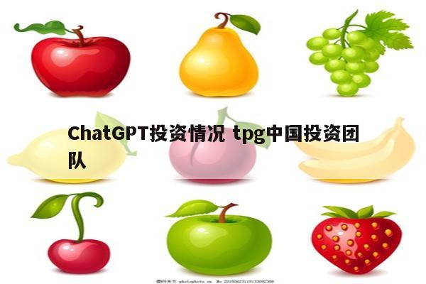 ChatGPT投资情况 tpg中国投资团队