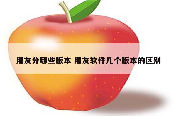 用友分哪些版本 用友软件几个版本的区别